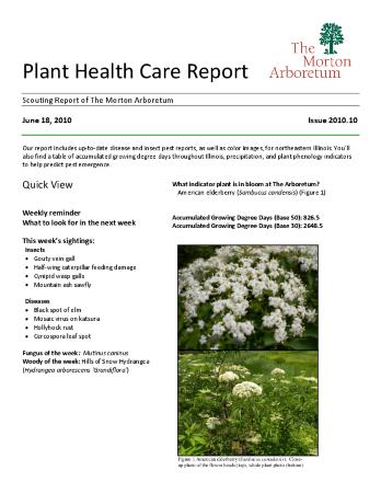 Plant Health Care Report: Issue 2010.10