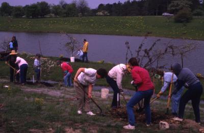 Arboretum employees mulching newly planted trees by Crabapple Lake