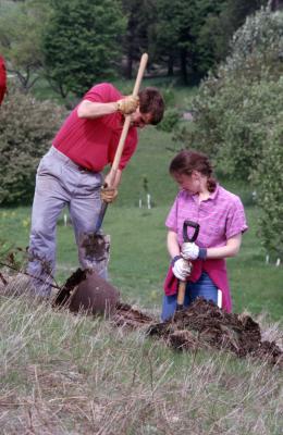 Kris Bachtell and Rita Hassert preparing to plant young tree on hill
