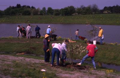 Arboretum employees with wheelbarrows planting young trees by Crabapple Lake