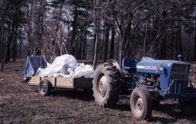 Tractor with flatbed attached containing bags of rootstock