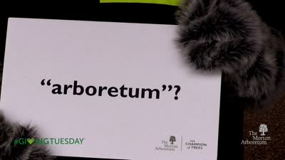 #Giving Tuesday, 2015, How do you pronounce Arboretum?