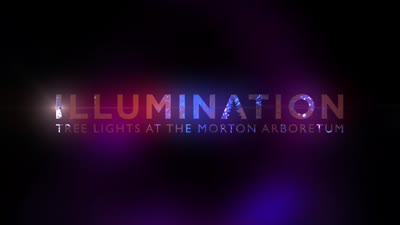 Illumination, Winter 2015-2016, media coverage