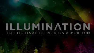 Illumination, Winter 2015-2016, Lightswitch