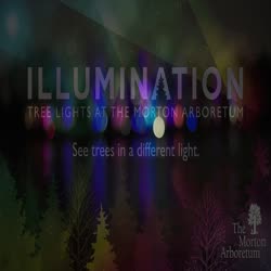 Illumination, Winter 2015-2016, promo