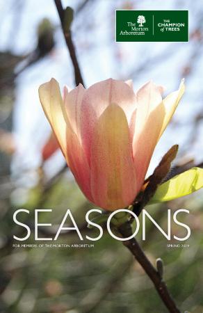 Seasons: Spring 2019
