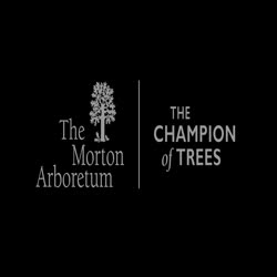 Three Rarest Trees in The Morton Arboretum's Living Collections, web version 2