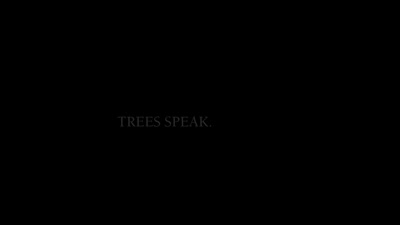 The Champion Of Trees, brand, with captions