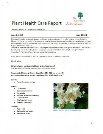 Plant Health Care Report: Issue 2012.8