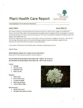 Plant Health Care Report: Issue 2012.12