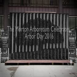 Arbor Day, 2016,  recap for Board of Trustees
