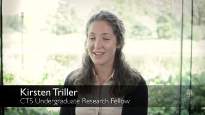 Center for Tree Science Undergraduate Research Fellowship, 2016, Kirsten Triller