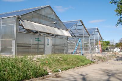 Arbordale Greenhouses 