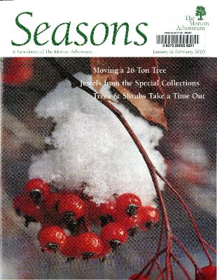 Seasons: January/February 2000