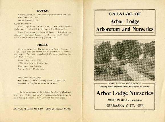 [1896-1900]: Catalog of Arbor Lodge Arboretum and Nurseries