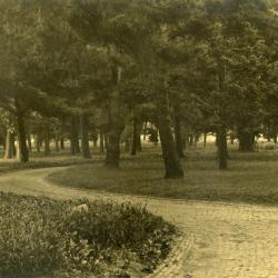 Arbor Lodge gardens and surrounding landscape, brick road curving through trees