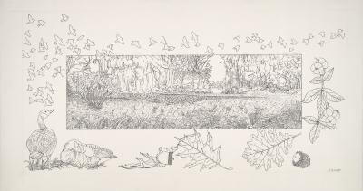 Bur Reed Marsh, Interpretation of Four Seasons: Fall