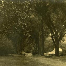 Arbor Lodge gardens and surrounding landscape, unpaved road lined with trees, farm on right