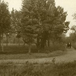 Woman and man riding in carriage along Arbor Lodge lawn, east view