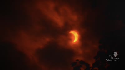 August 21, 2017 solar eclipse, social media