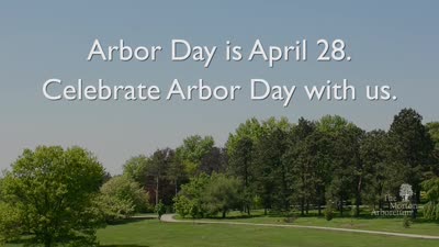 Arbor Day, 2017, event trailer