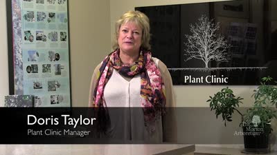 About the Plant Clinic, 2017