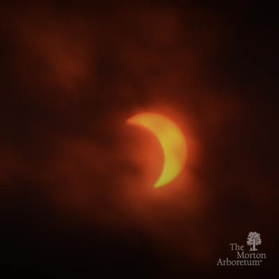 August 21, 2017 solar eclipse, Instagram, social media