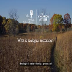 Woodland Stewardship Program, What Is Ecological Restoration, version 3, social media