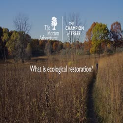 Woodland Stewardship Program, What Is Ecological Restoration, online ad, PHTV