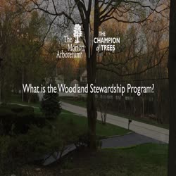 Woodland Stewardship Program, What Is The Woodland Stewardship Program, online ad, PHTV