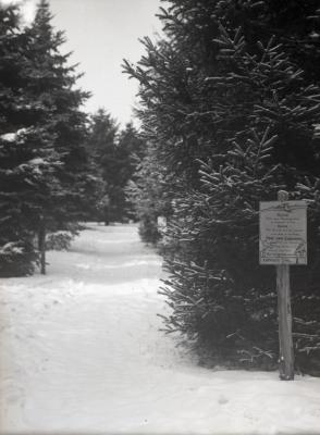 Evergreen Trail covered in snow, first post sign from trail guide on right