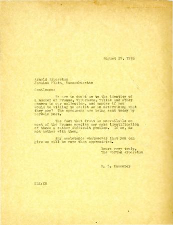 1935/08/29: E. L. Kammerer to Gentlemen [of the Arnold Arboretum]
