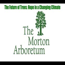 The Future of Trees: Hope in a Changing Climate