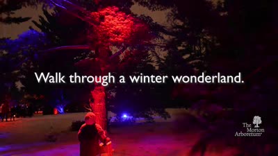 Illumination, Winter 2018-2019, KSMTD, 15 seconds
