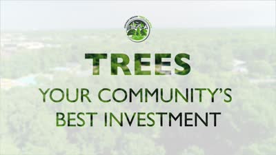 Chicago Region Trees Initiative: TREES, Your Community's Best Investment