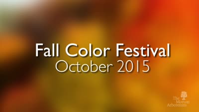 Fall Color Festival, October 2015, short