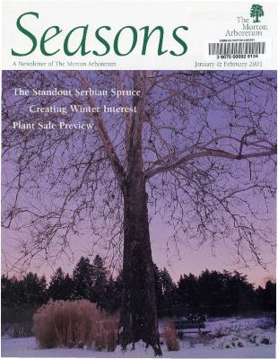 Seasons: January/February 2001