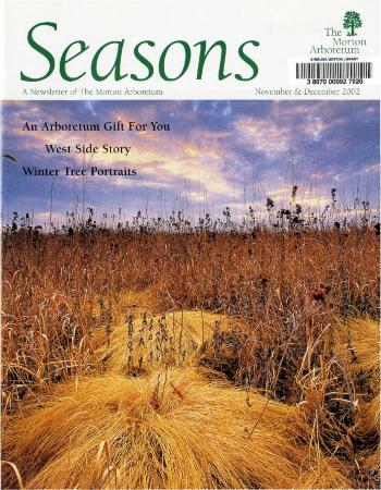 Seasons: November/December 2002