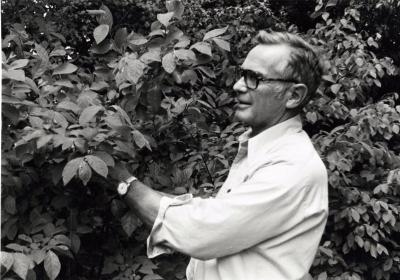 Ray Schulenberg studying plant outside