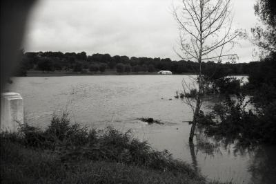 Dr. Malacek's land south of Arboretum during flood