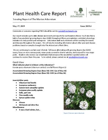 Plant Health Care Report: Issue 2019.4