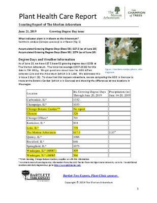 Plant Health Care Report: 2019, June 21 Growing Degree Day Issue