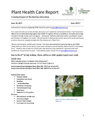 Plant Health Care Report: Issue 2019.7