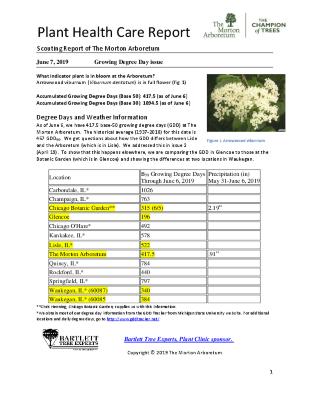 Plant Health Care Report: 2019, June 7 Growing Degree Day Issue