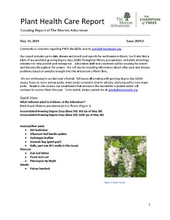 Plant Health Care Report: Issue 2019.5
