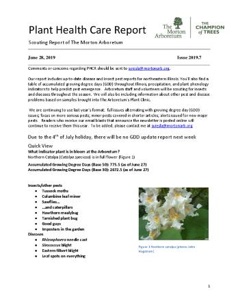 Plant Health Care Report: Issue 2019.7