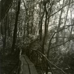 Footbridge over Lake Jopamaca leading into Ozarks Collection
