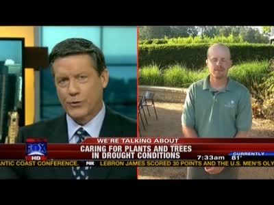 Caring for Plants and Trees in Drought Conditions