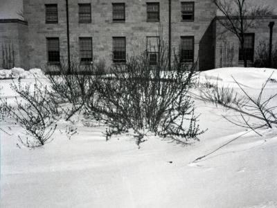 Snow covered landscape in front of Arboretum Center