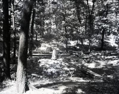 Former picnic area looking west